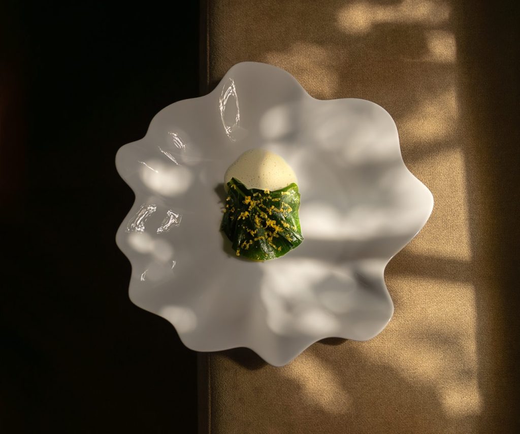 Groen gerecht in het midden van een bloemvormig wit bord, gefotografeerd van boven — Triptyque