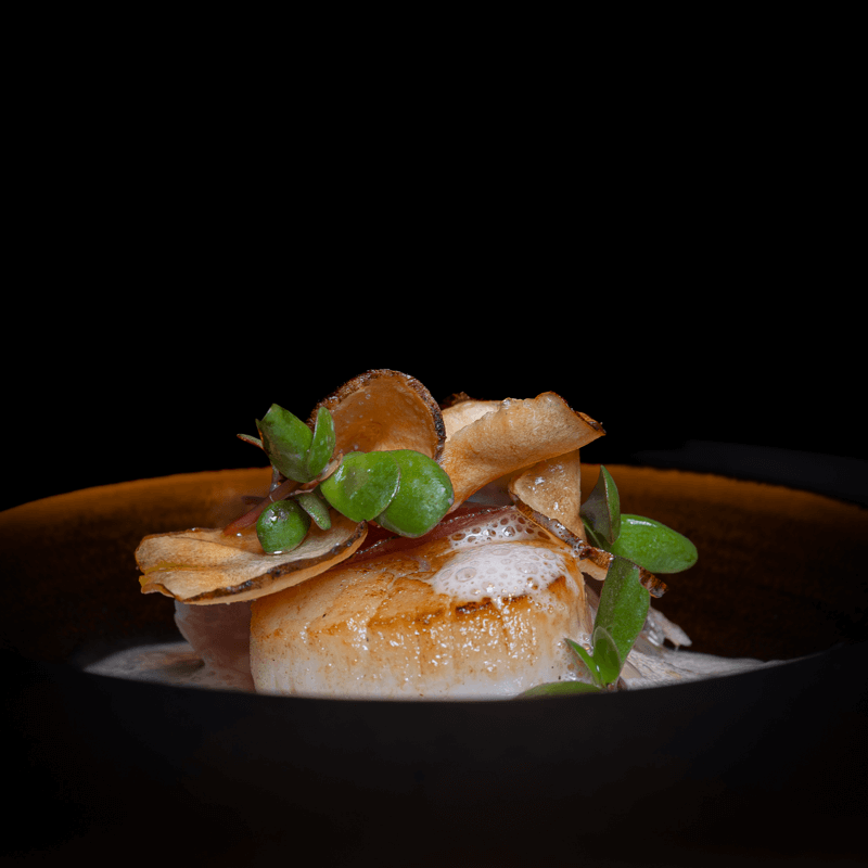 Klein opgemaakt gerecht met goudbruine coquille op donkere achtergrond — Cheval Blanc