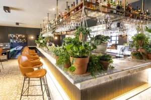 Lichte bar met marmeren blad, hangende glazen en planten.
