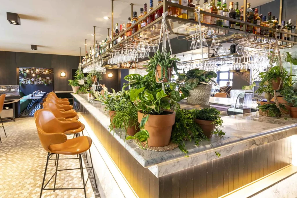 Lichte bar met marmeren blad, hangende glazen en planten.